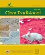 Majalah Obat Tradisional